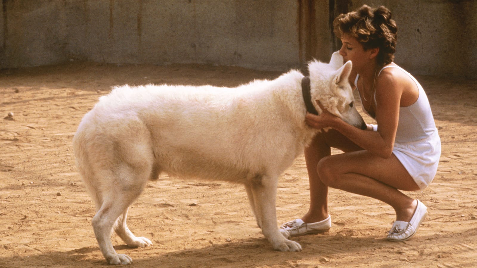 White Dog (1982)