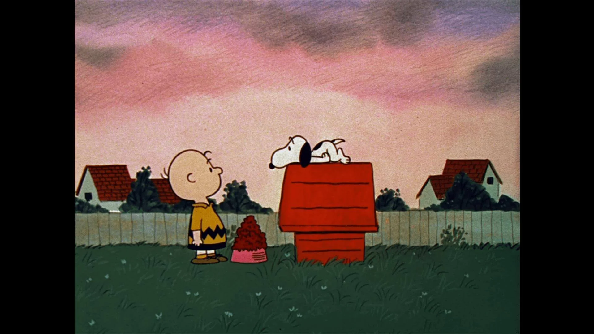 A Boy Named Charlie Brown